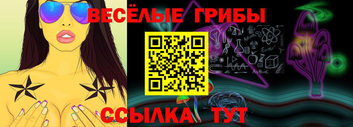 закладки  Вход с VPN  Псилоцибиновые грибы ЛСД  Губкинский  Псилоцибиновые грибы Cubensis 
