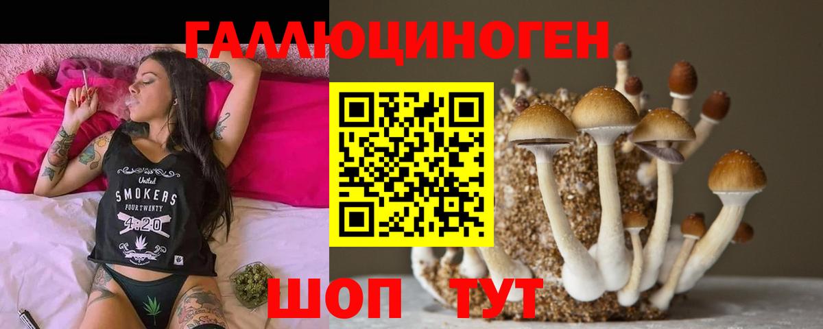 Псилоцибиновые грибы мухоморы Губкинский